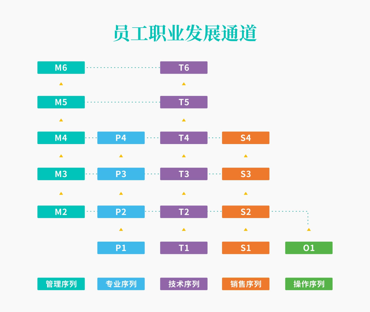 职业发展通道-2 648X547.jpg